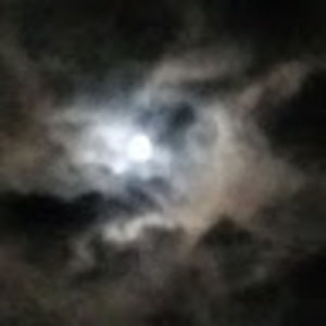 Meet your Posher, Ashlea